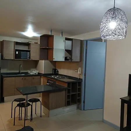 Hermoso Departamento En La Moneda P15. Apartment